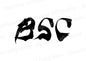 BSC